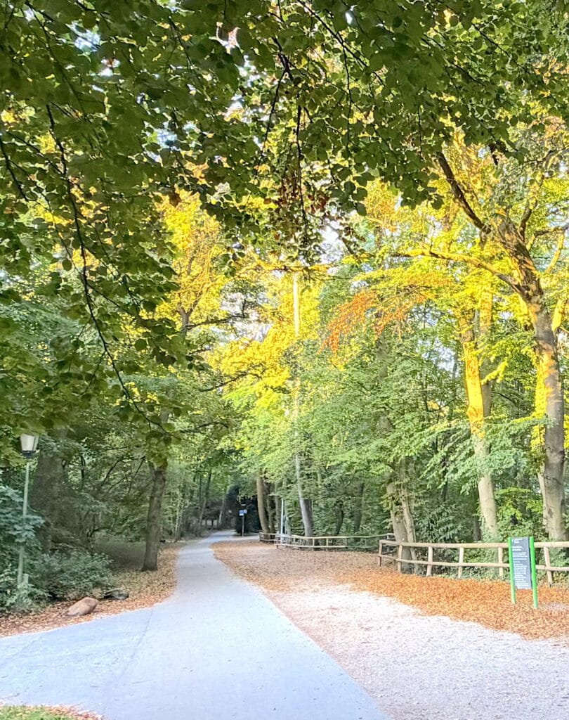 Grüner Weg an der Hochleite in München-Harlaching mit dichtem Baumbestand.